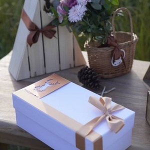 Premium Laundry Detergent Bottle